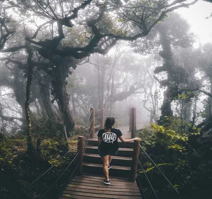 From Kuala Lumpur: Cameron Highlands Day Trip with Transfers - Cactus garden: the quirky finale and a souvenir you’ll actually use