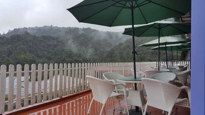From Kuala Lumpur: Cameron Highlands Full-Day Tour - From Kuala Lumpur at 7 AM: Why the Timing Matters