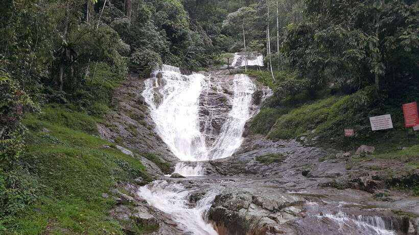 From Kuala Lumpur: Cameron Highlands Full-Day Tour - Butterfly Park and Insect Gardens: Color for Photos, Calm for the Mind