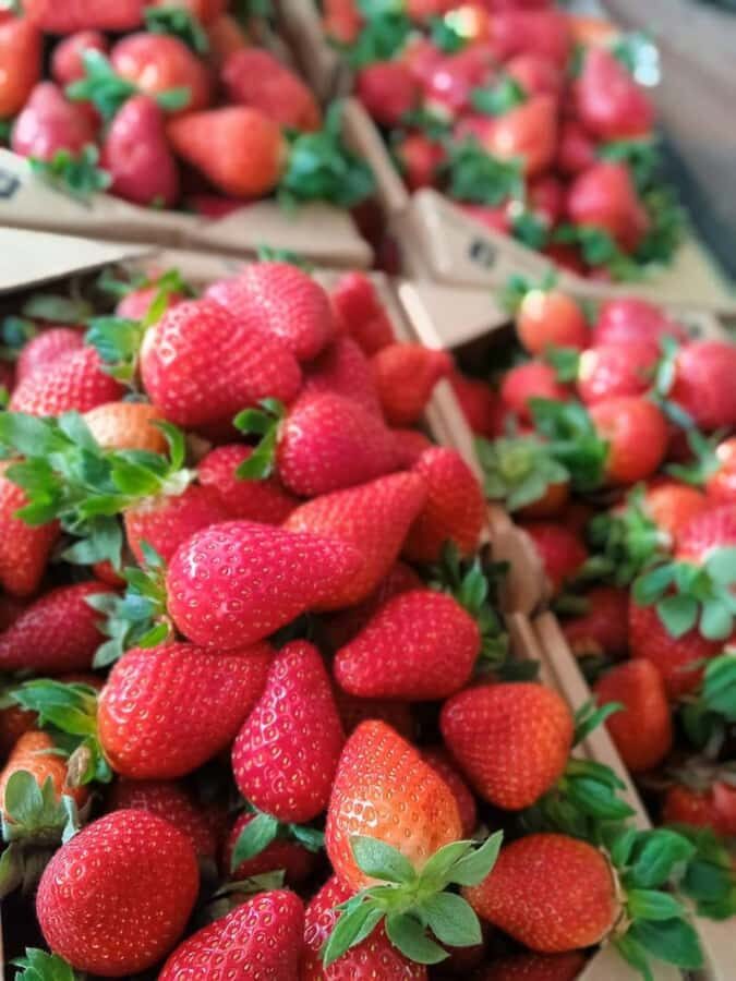 From Kuala Lumpur: Cameron Highlands Private or Join In Tour - A Cool Escape From Kuala Lumpur, Without the Complicated Planning