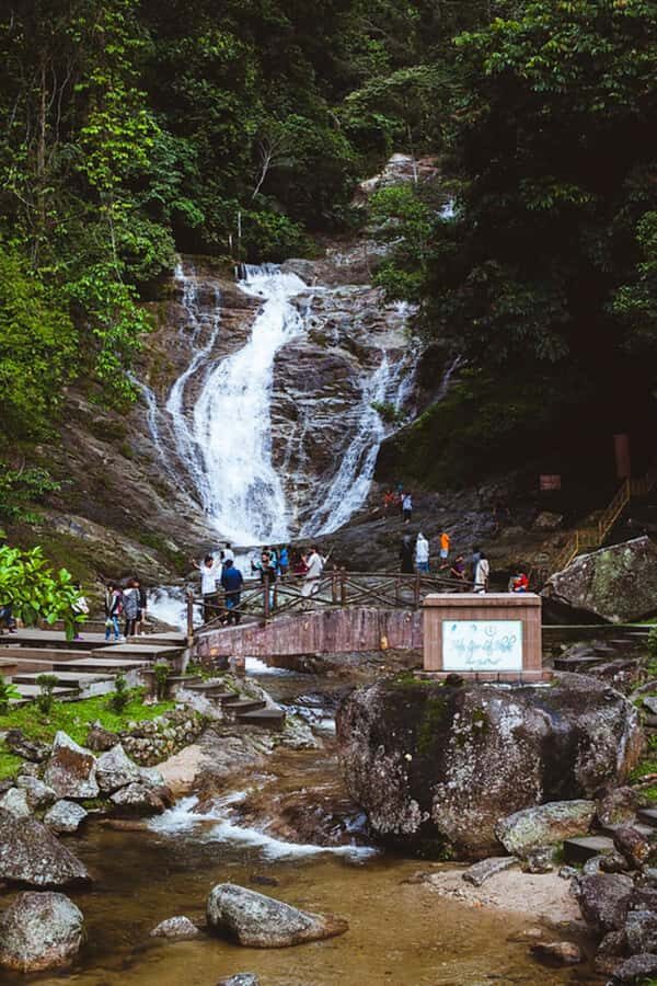From Kuala Lumpur: Cameron Highlands Private or Join In Tour - Butterfly Park + Petting Zoo: Worth It If You’re Into the Animal Side
