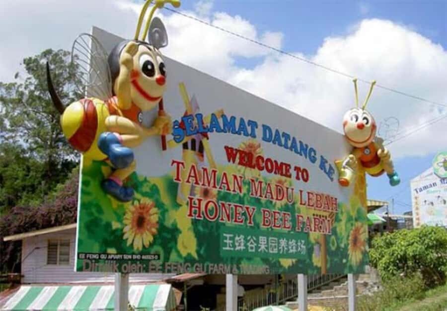 From Kuala Lumpur: Cameron Highlands Private or Join In Tour - Cactus Valley: Free, Easy, and Good for a Quick Photo Stretch