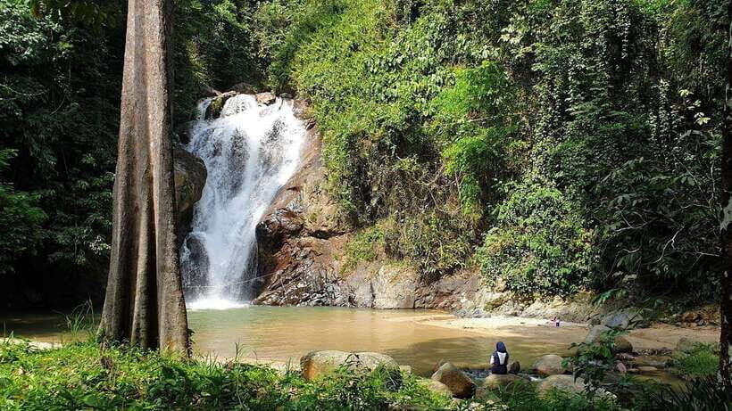 From Kuala Lumpur: Elephant Sanctuary Guided Tour - Key highlights worth planning around