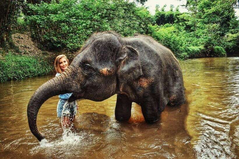 From Kuala Lumpur: Elephant Sanctuary Guided Tour - Pahang waterfall shower: bring gear and expect it to be wet