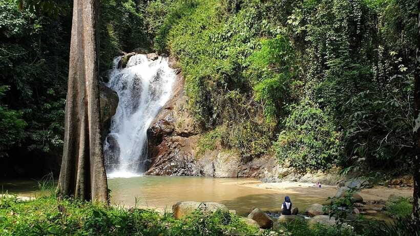 From Kuala Lumpur: Elephant Sanctuary Guided Tour - The full flow from Kuala Lumpur: timing that feels doable