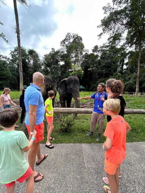 From Kuala Lumpur: Elephant Sanctuary Guided Tour - Price and value: is $150 per person worth it?