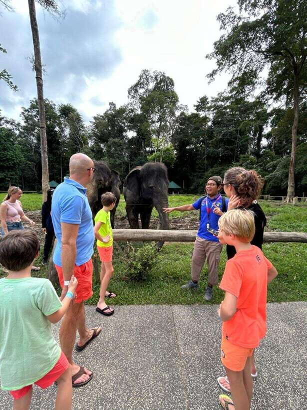 From Kuala Lumpur: Elephant Sanctuary Guided Tour - Feeding and playing: what your elephant time is really like