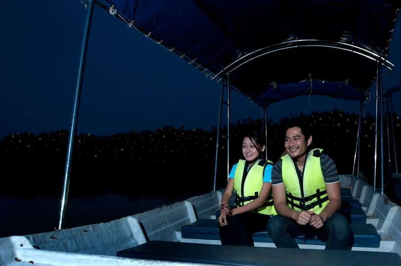 From Kuala Lumpur: Fireflies Tour and Seafood Dinner - Quick hits: Fireflies, monkeys, and a simple riverside seafood meal