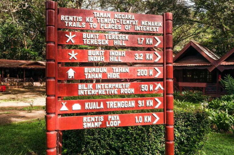 From Kuala Lumpur: Full-Day Taman Negara National Park - Kuala Tahan lunch by the riverside: more than a break