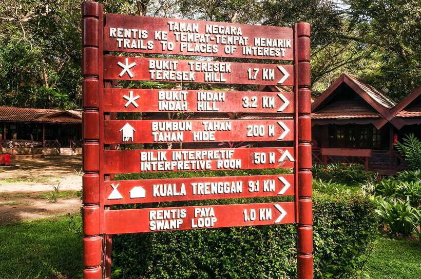 From Kuala Lumpur: Full-Day Taman Negara National Park - Kuala Tahan lunch by the riverside: more than a break