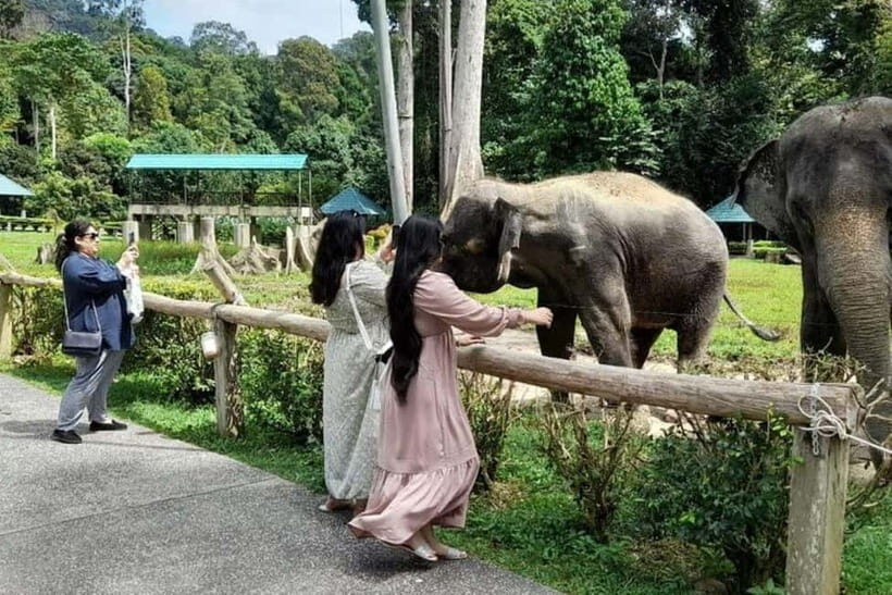 From Kuala Lumpur: Kuala Gandah & Batu Caves Day Trip - Inside the caves: Hindu shrines and everyday etiquette