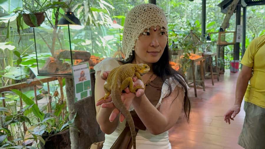 From Kuala Lumpur: Kuala Gandah Elephant Sanctuary Day Trip - Elephant Bathing (Extra Fee): When You Can Do It and What to Wear