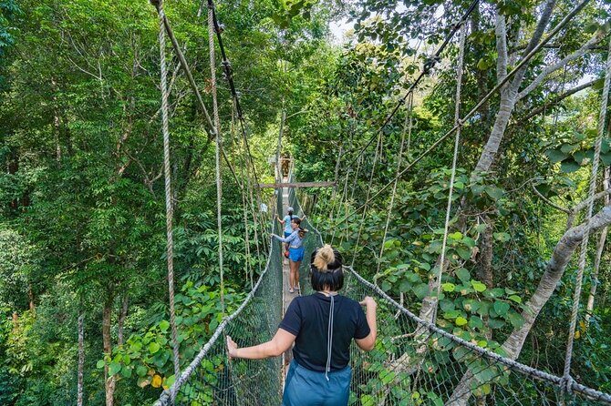 From Kuala Lumpur Taman Negara Day Trip With Lunch - Key highlights you’ll feel on this trip