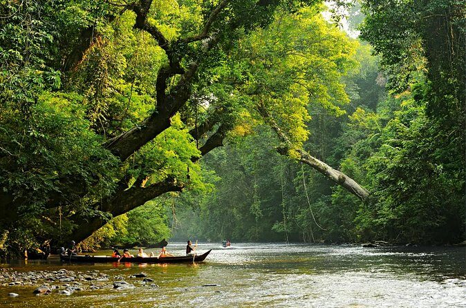 From Kuala Lumpur Taman Negara Day Trip With Lunch - Boat time, blowpipe practice, and getting ready to get wet