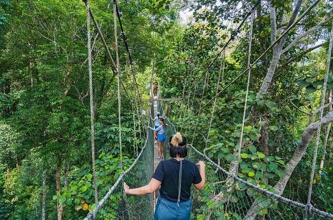From Kuala Lumpur Taman Negara Day Trip With Lunch - Who should book this Kuala Lumpur to Taman Negara day trip