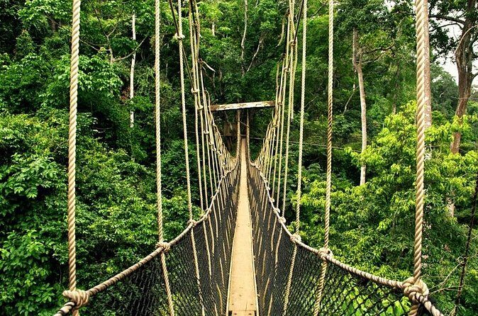 From Kuala Lumpur Taman Negara Day Trip With Lunch - Should you book this day trip from Kuala Lumpur?