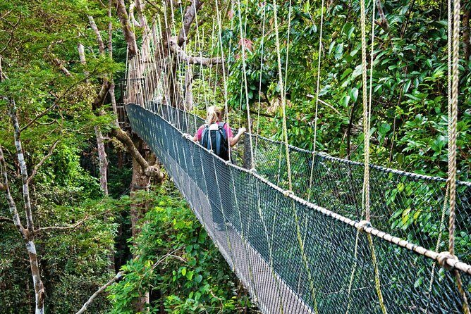 From Kuala Lumpur Taman Negara Day Trip With Lunch - Taman Negara National Park trekking: timing and wildlife odds
