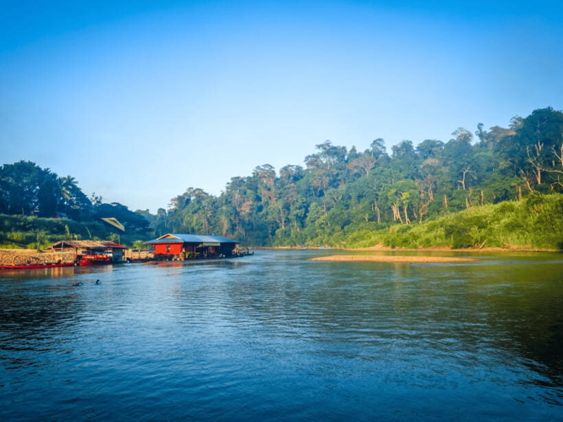 From Kuala Lumpur: Taman Negara National Park Private Tour - Price and value: what $576 per group really buys