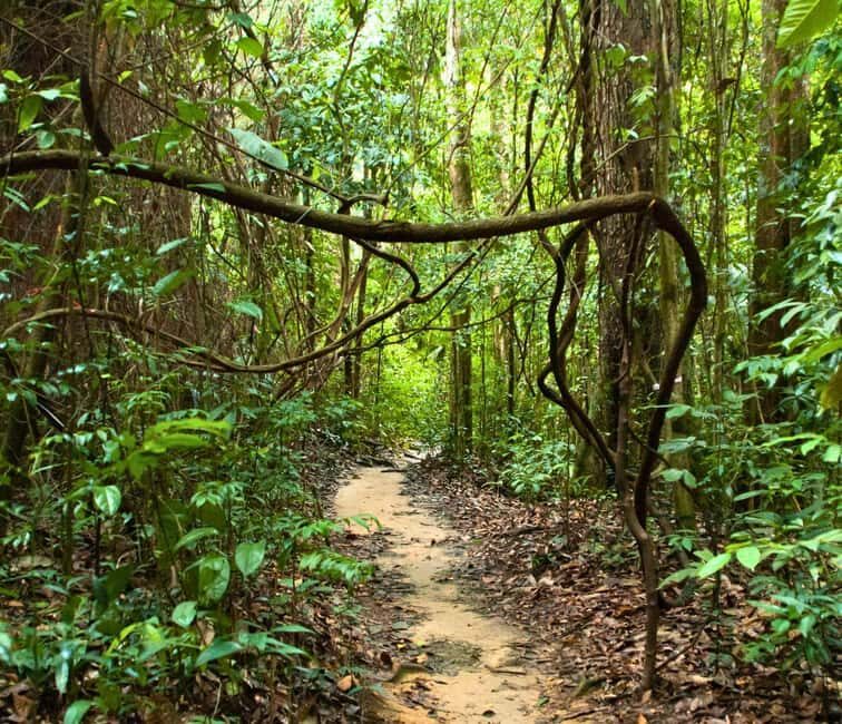 From Kuala Lumpur: Taman Negara National Park Private Tour - Crossing into Taman Negara by boat: the calm start that sets the tone