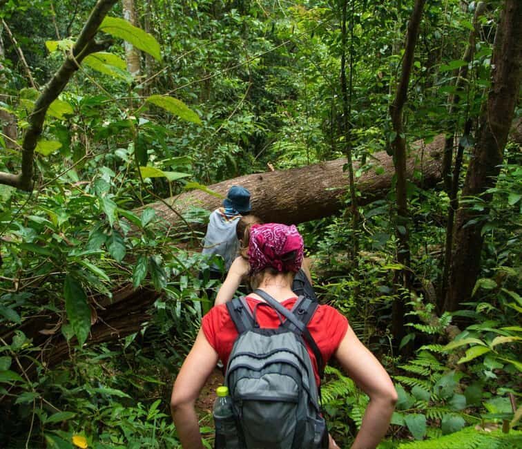 From Kuala Lumpur: Taman Negara National Park Private Tour - From hotel pickup to Kuala Tahan: your first slice of rainforest life