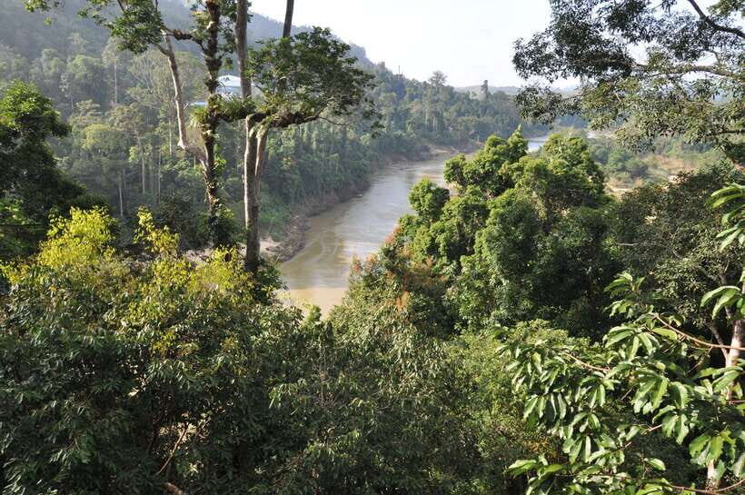 From Kuala Lumpur: Taman Negara National Park Trek Day Tour - Kuala Lumpur to Taman Negara: a long ride, then it’s game on