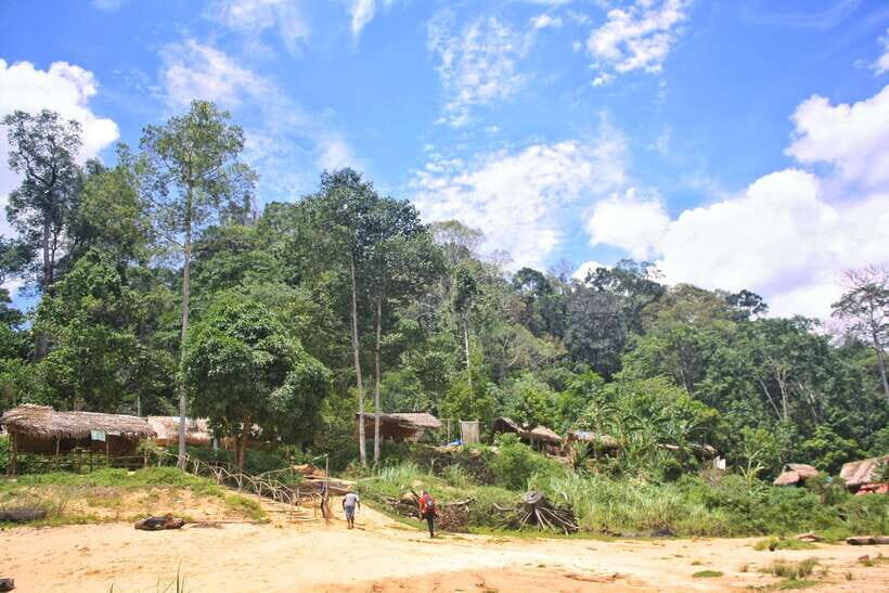 From Kuala Lumpur: Taman Negara National Park Trek Day Tour - Price and value: is $177 per person fair?