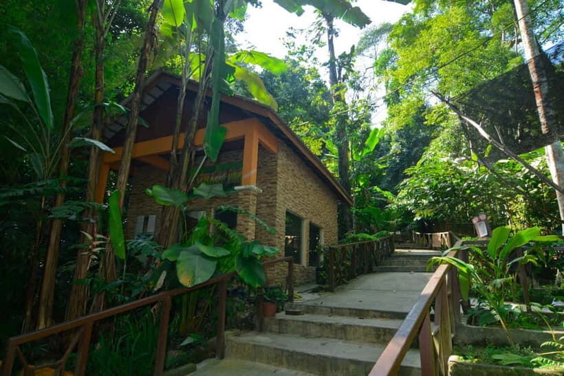 From Kuala Lumpur: Taman Negara Private Tour - Orang Asli Village Visit: Cultural Learning That Connects to Survival
