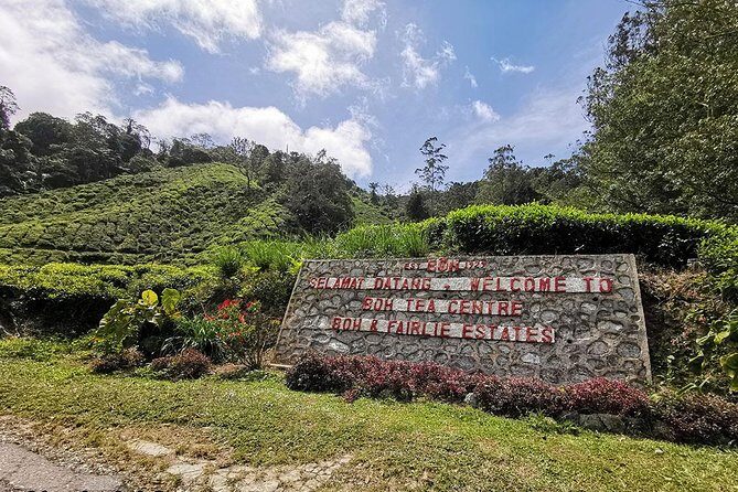 Full-day Cameron Highlands Day Trip from Kuala Lumpur - Stop 4: Cameron Tringkap Bee Farm for Honey-Making Scenery