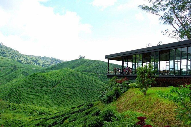 Full-day Cameron Highlands Day Trip from Kuala Lumpur - Stop 6: Rose Valley with 450 Varieties
