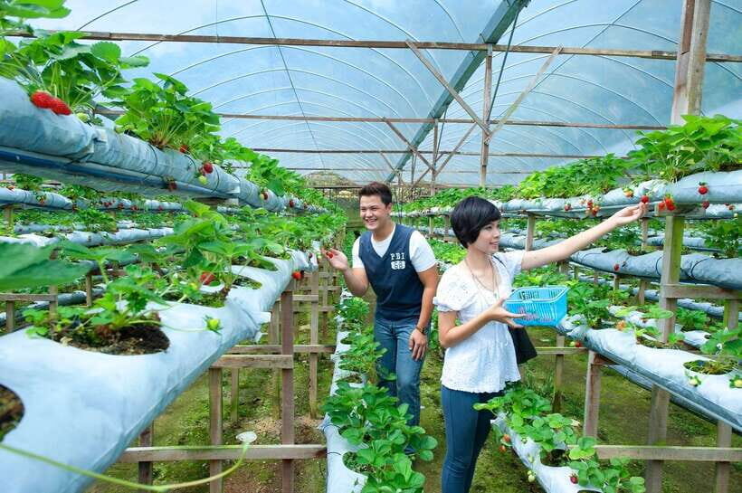 Genting Highland: Private Day Trip from Kuala Lumpur - Timing and Guide Quality: What Makes This Tour Feel Easy