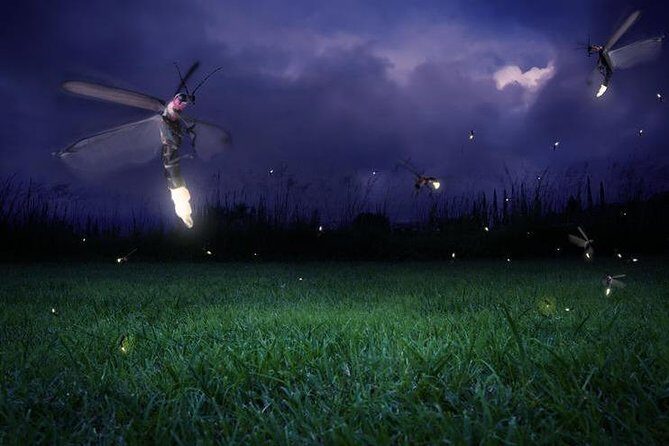 Glowing Kuala Selangor Firefly Tour - Sri Shakti Temple: A Short Stop with Big Visual Payoff