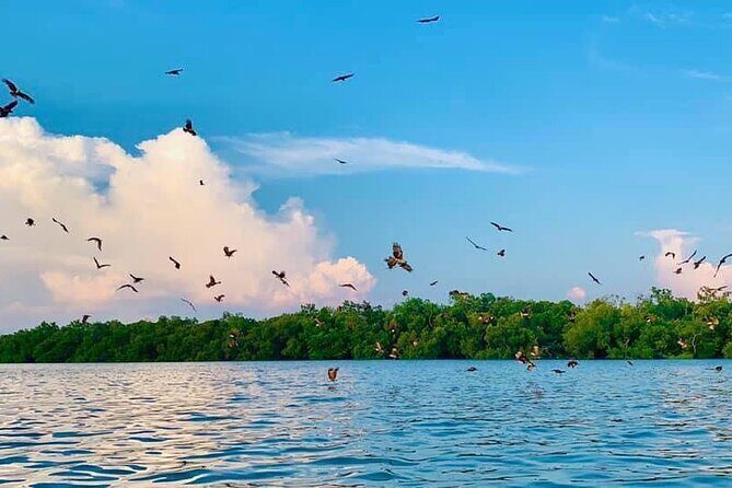 Instagrammable Kuala Selangor Sky Mirror Tour with Transfer - After the Mirror: Lunch Stop and Energy Management