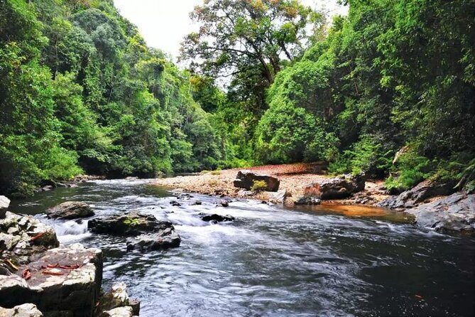 Jungle Odyssey: Unleash Your Adventure in Taman Negara! - Transport, Comfort, and What “Private” Changes