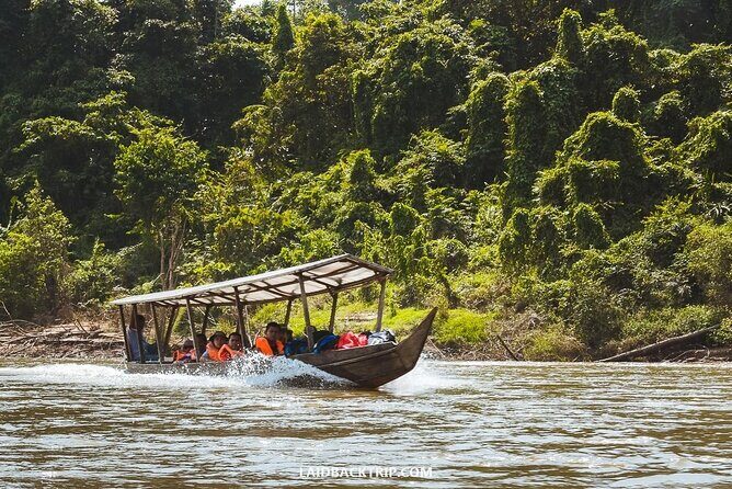 Jungle Odyssey: Unleash Your Adventure in Taman Negara! - The Canopy Walkway Stop: When Renovations Change the Best Views