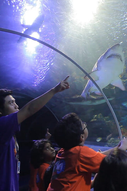 Kuala Lumpur: Aquaria KLCC Entry Ticket - Key things to know before you go