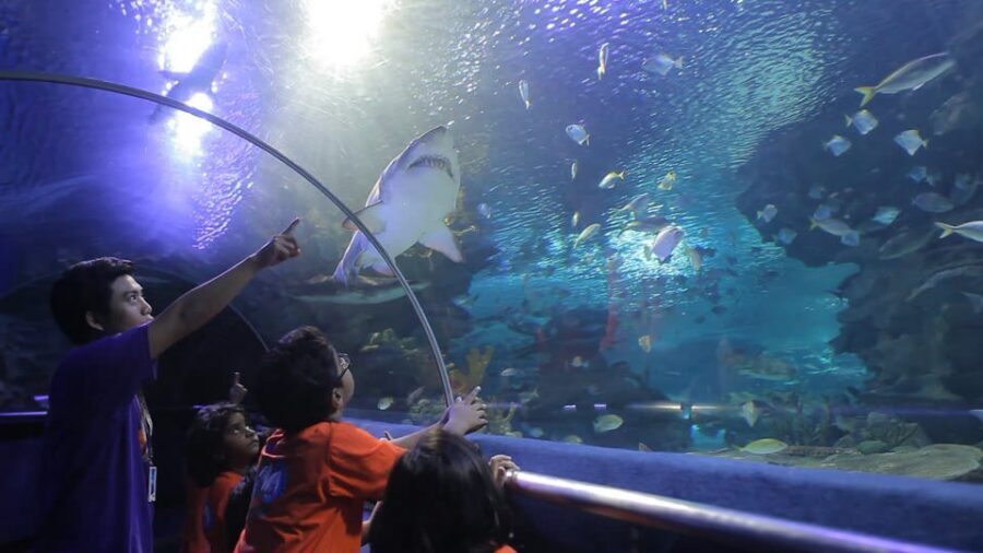 Kuala Lumpur: Aquaria KLCC Entry Ticket - Comfort and accessibility: stroller and wheelchair friendly