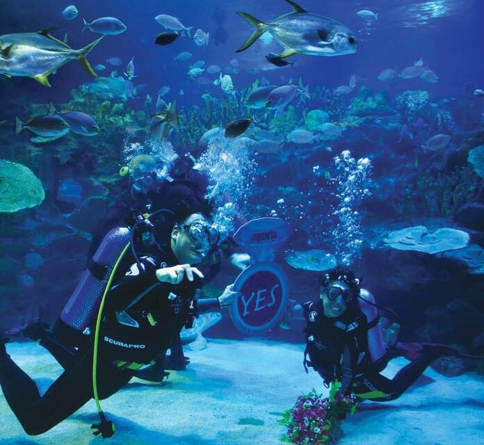 Kuala Lumpur: Aquaria KLCC Entry Ticket - Timing in Kuala Lumpur: best hours to avoid the worst crowding