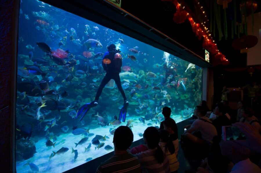 Kuala Lumpur: Aquaria KLCC Entry Ticket - Practical flow: how to plan your visit without hotel pickup