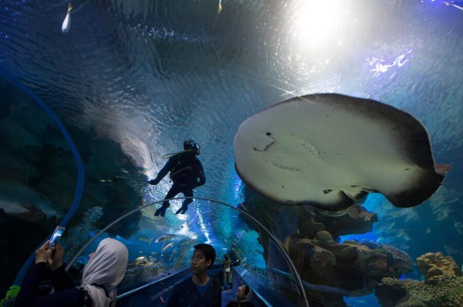 Kuala Lumpur: Aquaria KLCC Entry Ticket - Families, couples, and solo visitors: who this suits best
