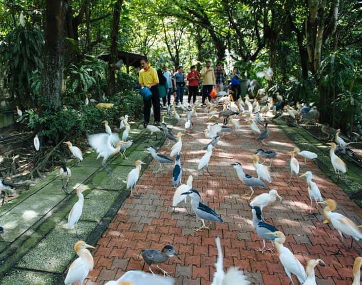 Kuala Lumpur: Bird Park, Butterfly & Garden Private Tour - Orchid & Hibiscus Gardens: Malaysia’s national flower in a calm finish