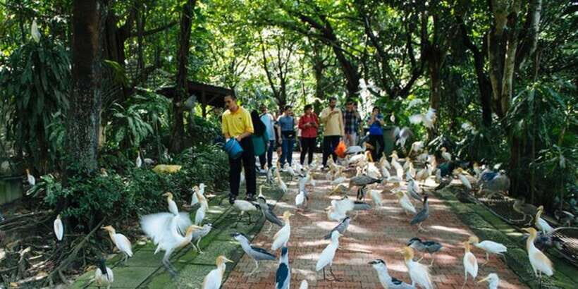 Kuala Lumpur: Bird Park, Butterfly & Garden Private Tour - Communication and timing: how to keep the day smooth