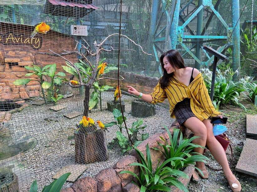 Kuala Lumpur: Bird Park Day Ticket & 1-Way Transfer - Who should book this Bird Park ticket