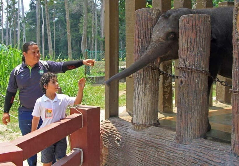 Kuala Lumpur Day Tour: Batu Caves & Elephant Sanctuary - Entering Batu Caves: Lord Murugan and the Big, Sacred First Impression
