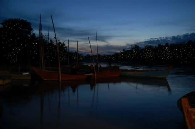Kuala Lumpur: Fireflies & Blue Tears Tour with Seafood Meal - Kuala Selangor at night: why this tour works