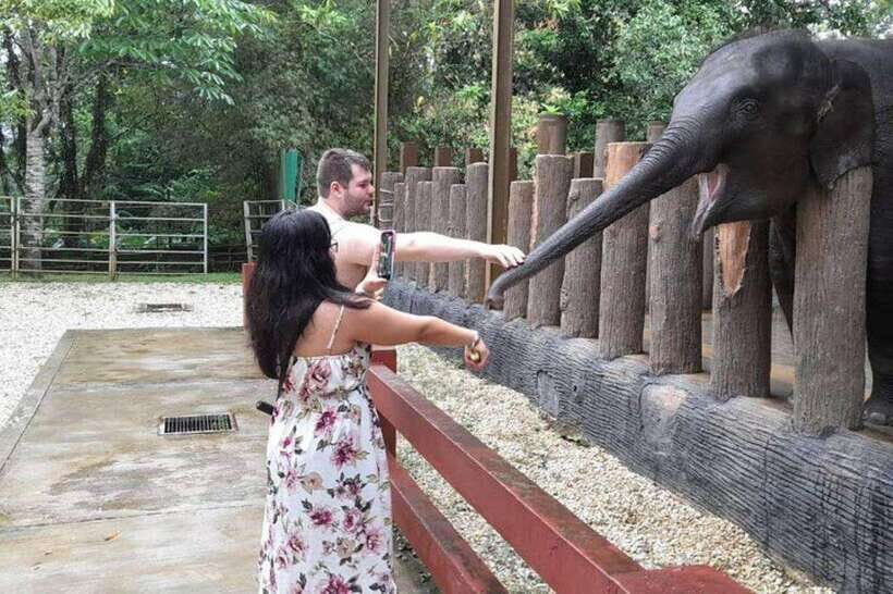 Kuala Lumpur: Kuala Gandah and Batu Caves Private Trip - The elephant show timing you might run into