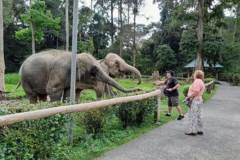 Kuala Lumpur: Kuala Gandah and Batu Caves Private Trip - Pickup and the private-drive rhythm from Kuala Lumpur