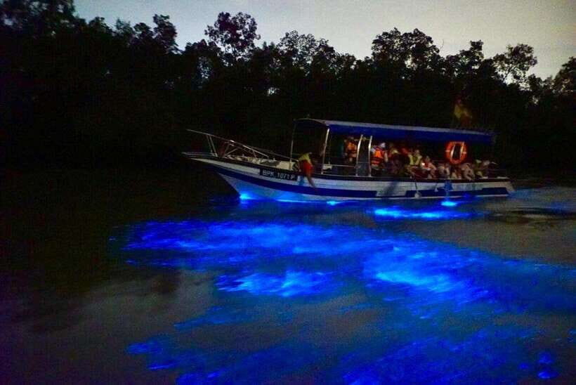 Kuala Lumpur: Kuala Selangor Fireflies and Blue Tears Tour - Practical Tips That Actually Help on This Trip