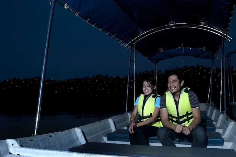 Kuala Lumpur: Kuala Selangor Firefly Tour and Dinner - Seafood dinner near the fishing village: what to expect