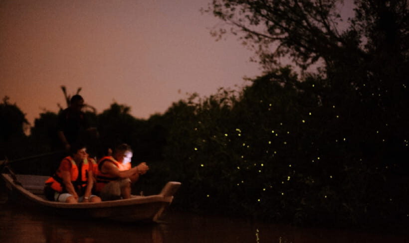 Kuala Lumpur: Kuala Selangor Firefly Tour and Dinner - The guides: what makes the experience smoother