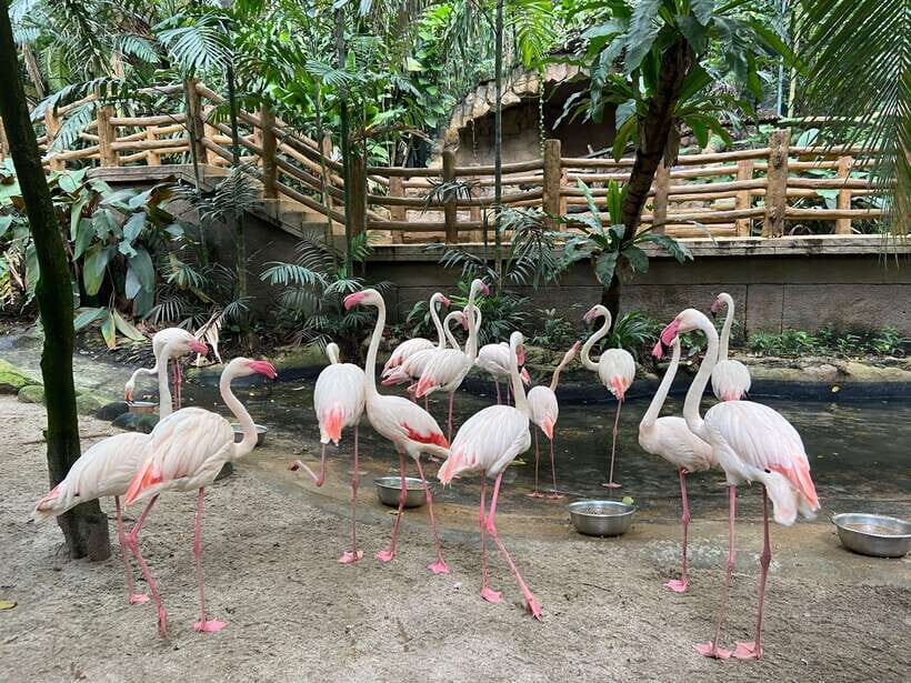 Kuala Lumpur: Sunway Lagoon Ticket & 1-Way Transfer - Sunway Lagoon in One Packed Day